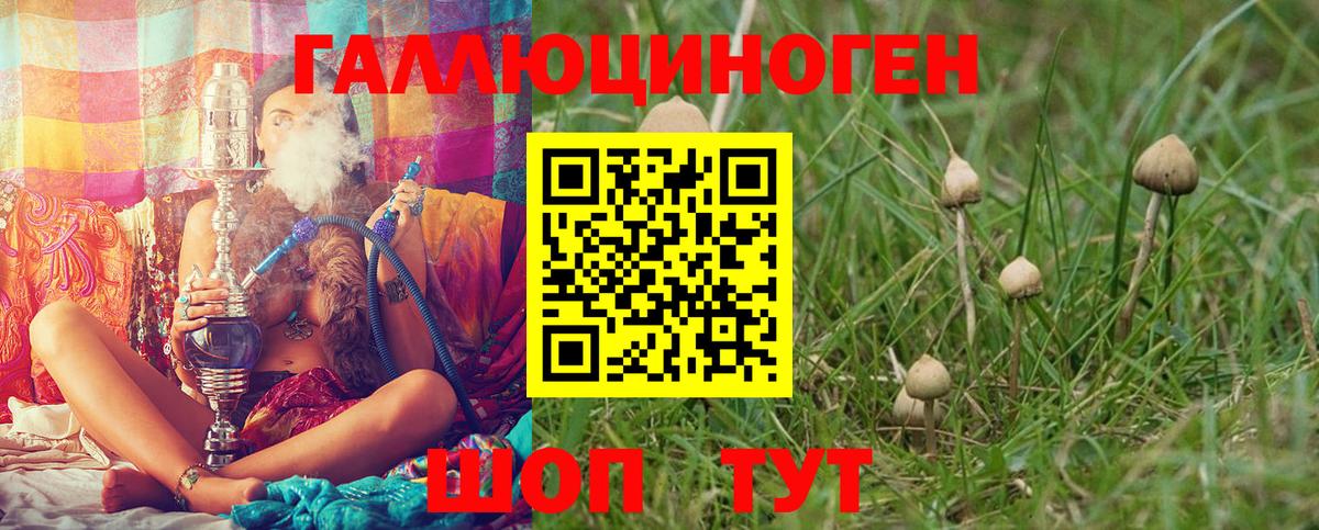 Псилоцибиновые грибы Magic Shrooms  Вход с VPN  продажа наркотиков  Гулькевичи 
